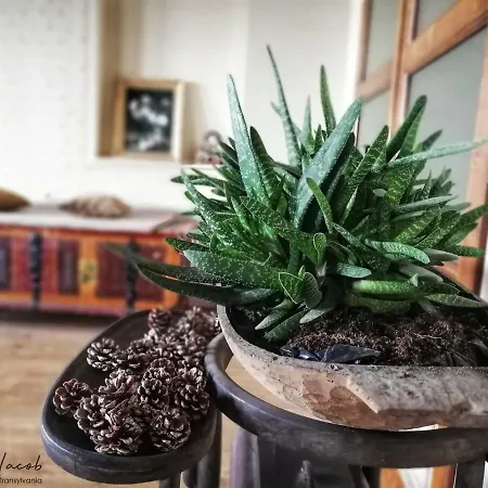 Hotel Kastel Transylvania Brașov